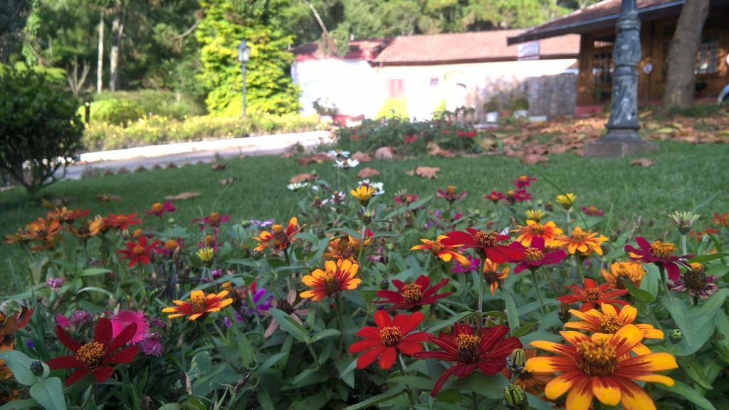 Campos Do Jordao Garden Pousada Colonia Exteriör bild